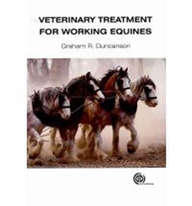 Veterinary treatment for working equines