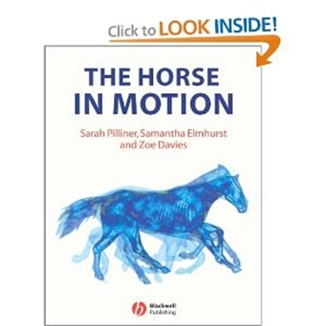 The horse in motion.pdf