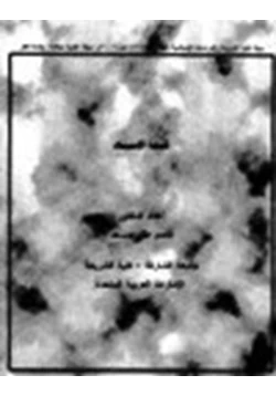 كتاب قيمة الإسناد pdf